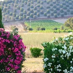 Agrialbergo La Sugherella Capalbio