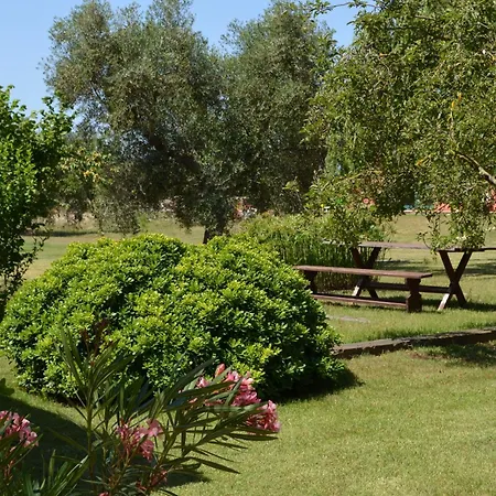 בית הארחה Agrialbergo La Sugherella