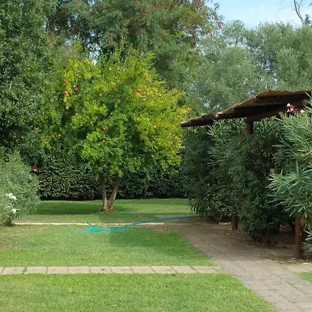 Agrialbergo La Sugherella بيت ضيافة